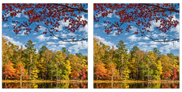 Images shown at 200%. Image on the left is 72 dpi, image on the right is 300 dpi.